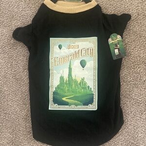 Wicked Emerald City Graphic Kids Tee - Black & Green